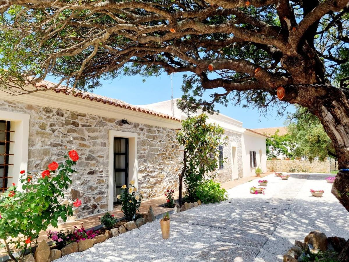 Ferienwohnung Stazzo San Teodoro La Quercia Piscina Condivisa Exterior foto